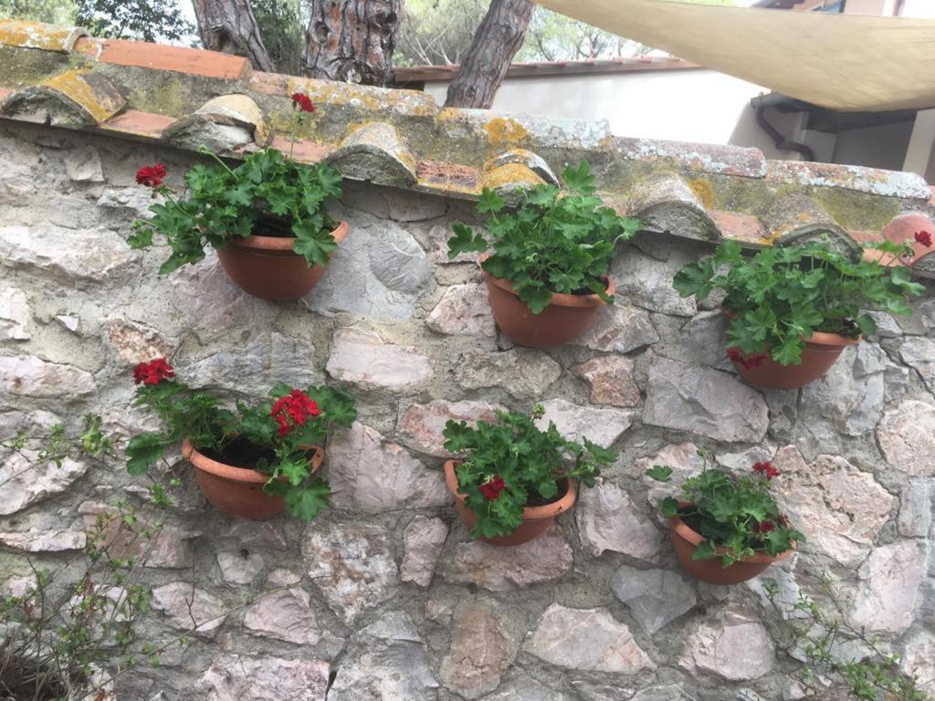 Tenuta Le Marze 卡斯蒂里昂纳·德拉佩 外观 照片