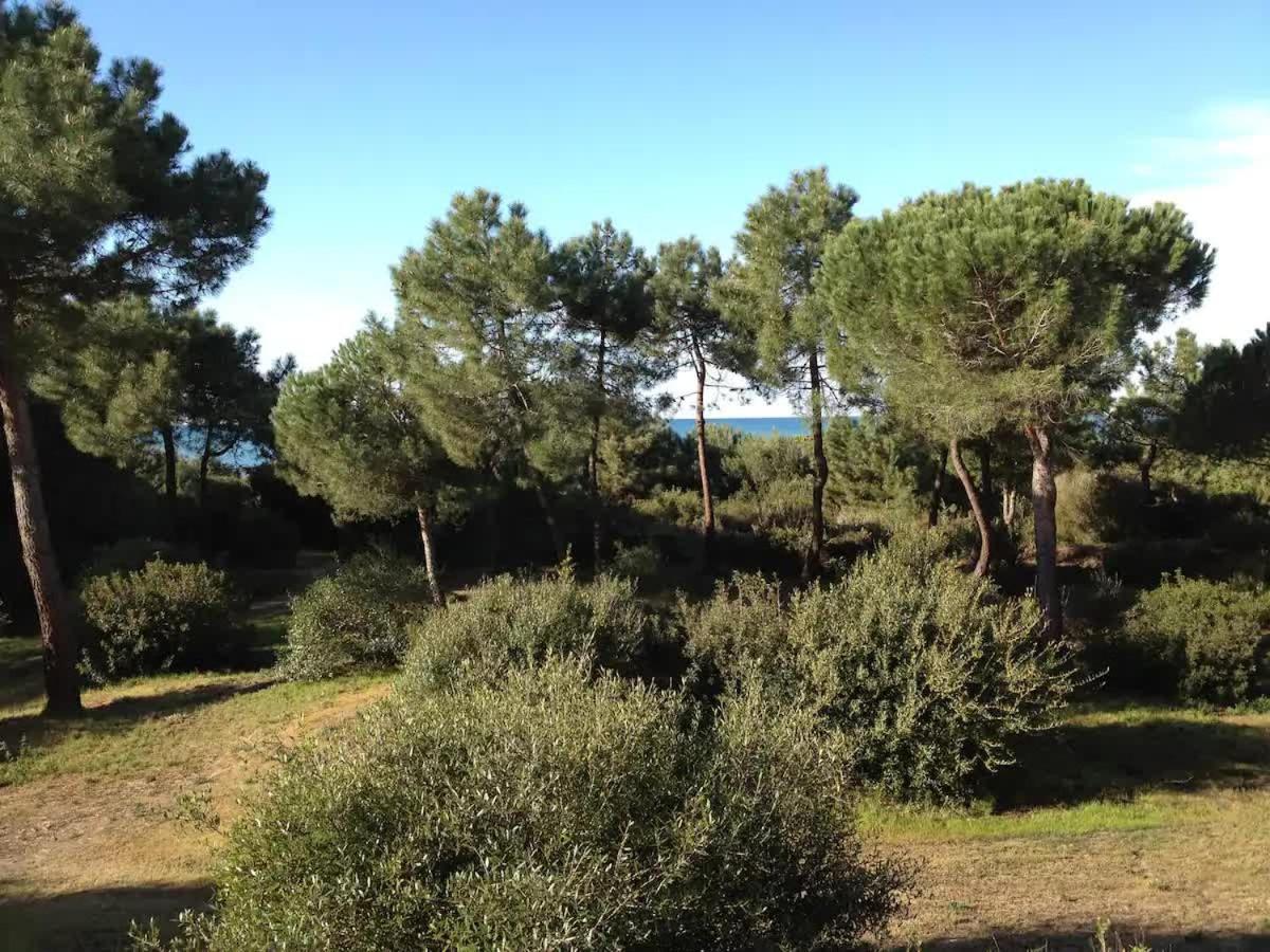 Tenuta Le Marze 卡斯蒂里昂纳·德拉佩 外观 照片