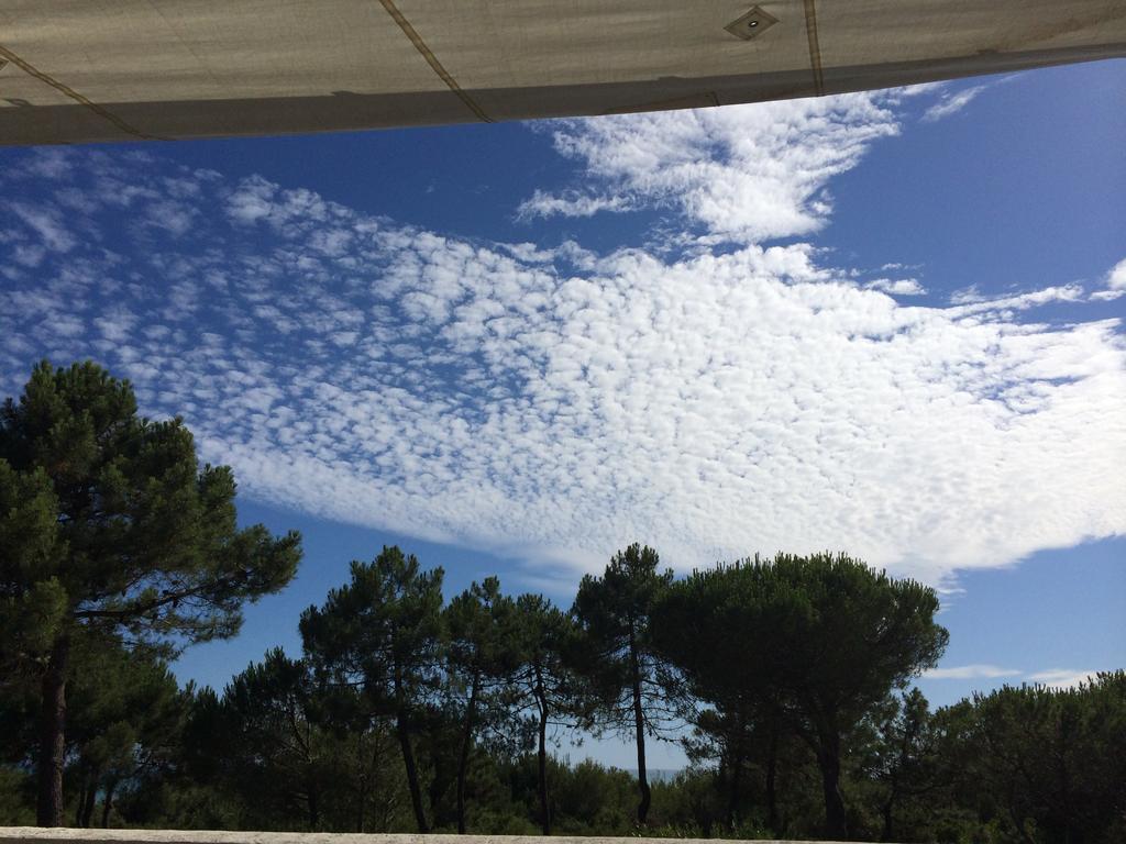 Tenuta Le Marze 卡斯蒂里昂纳·德拉佩 外观 照片